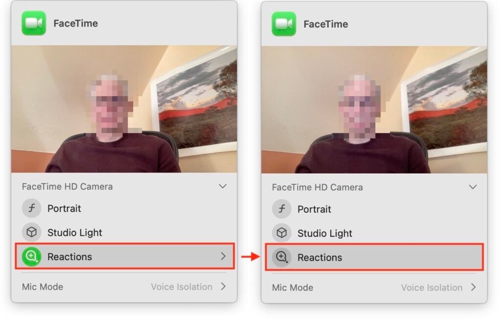 Facetime reactions