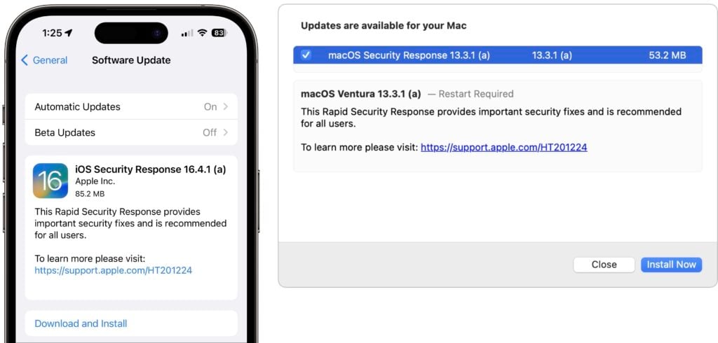 iOS macOS Rapid Security Response 